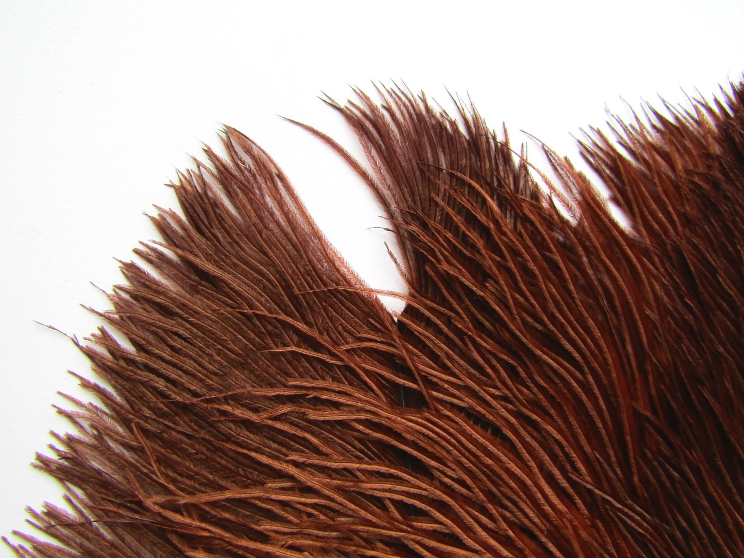 Art-Deco-Era-Ombre-Ostrich-Flapper-Fan-08