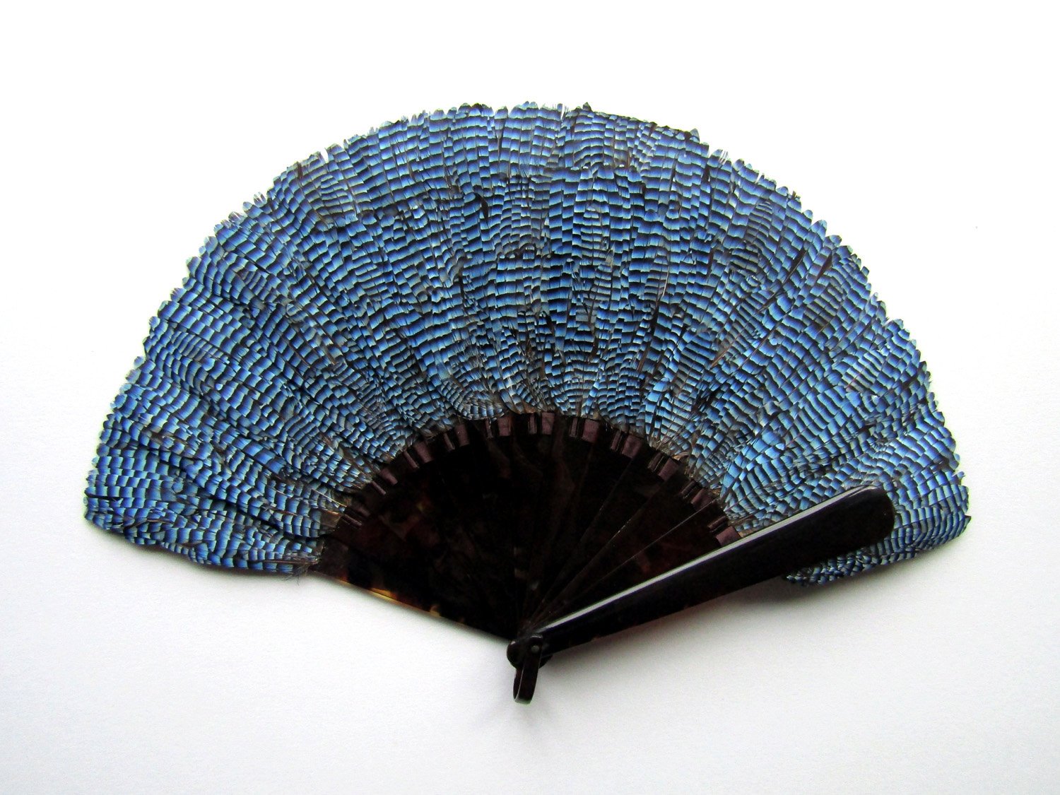RESERVED Rare Duvelleroy Jay Feather and Tortoiseshell Fan