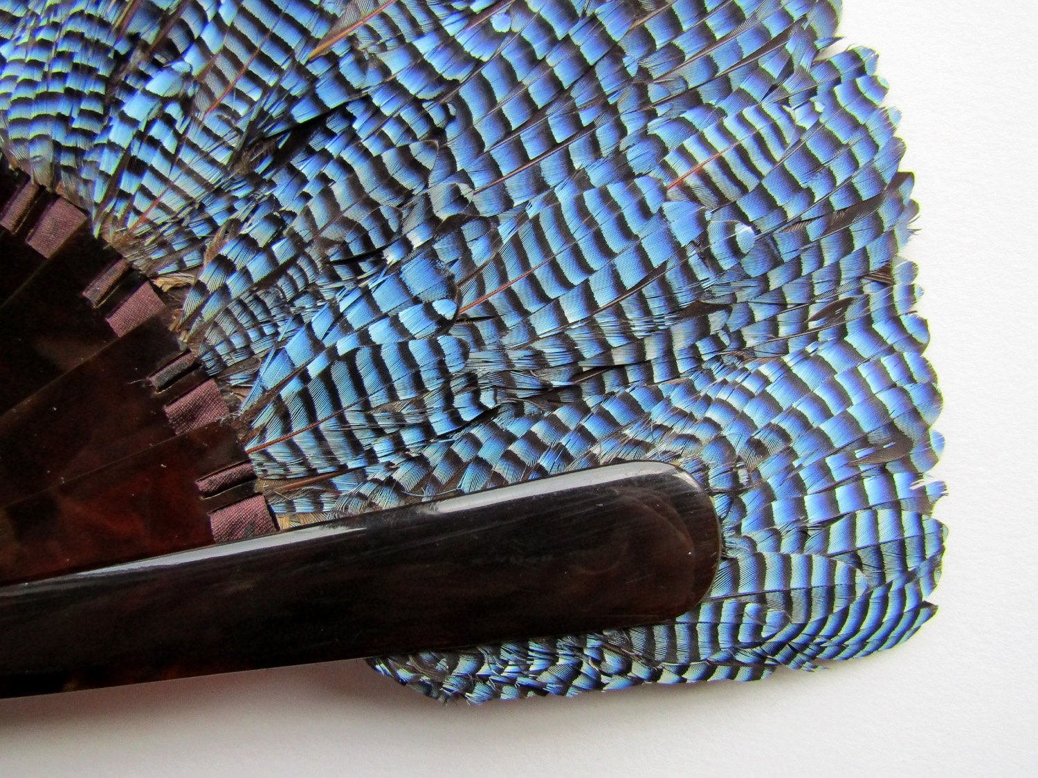Duvelleroy-Jay-Feather-Fan-02
