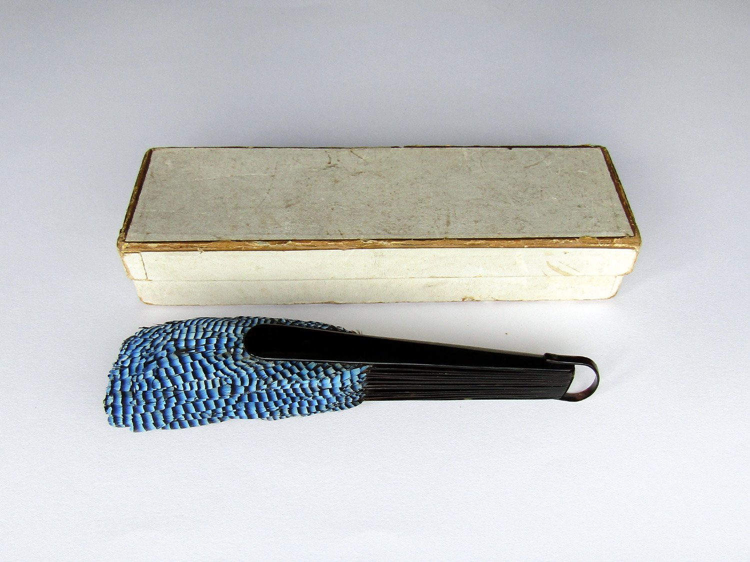 Duvelleroy-Jay-Feather-Fan-08