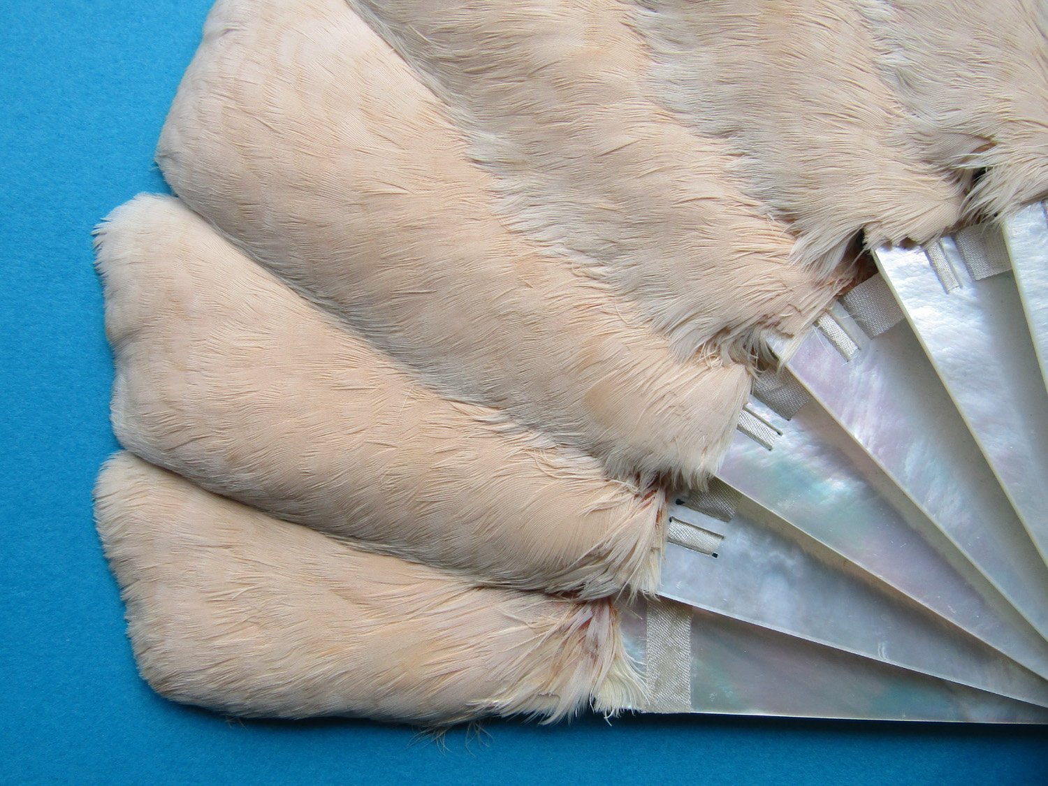 Duvelleroy-Mother of Pearl-Feather-Fan-04