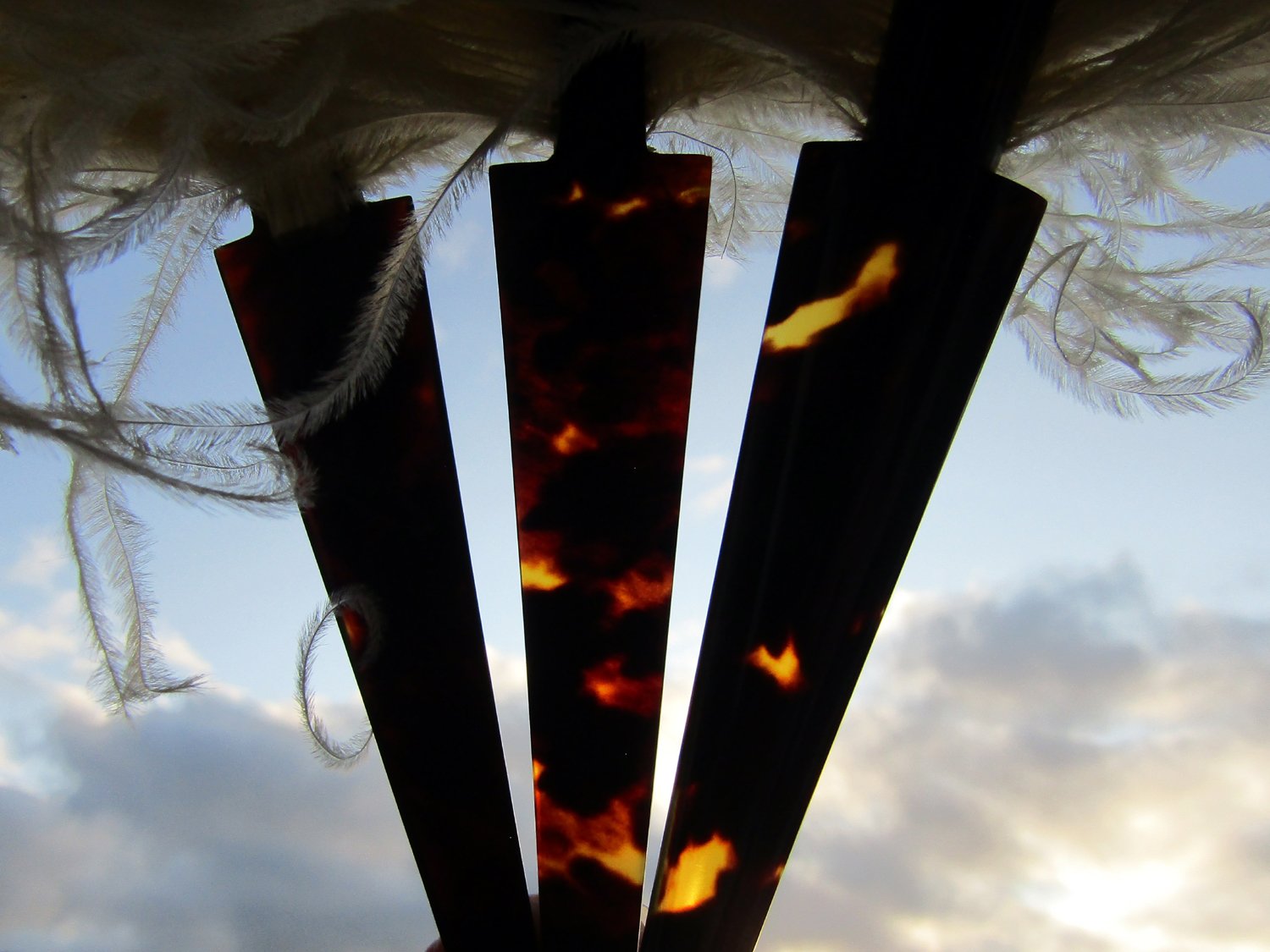 Art-Deco-Debutante-Ostrich-Tortoiseshell-Fan-03
