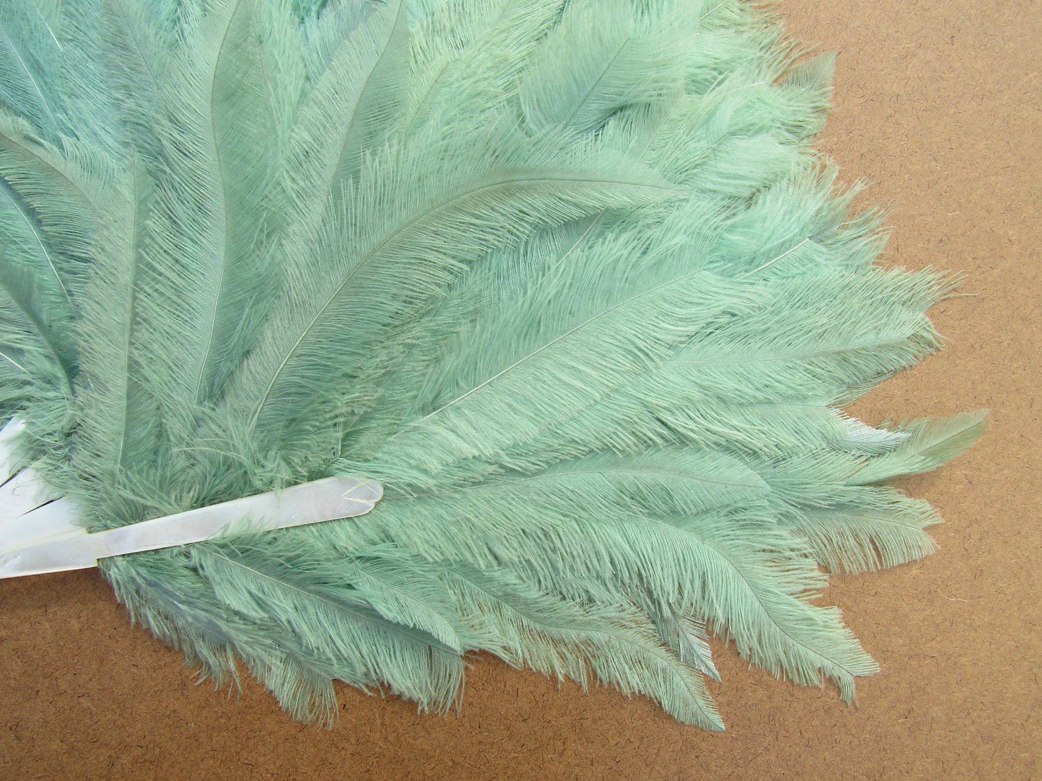 Rare-Art-Deco-Era-Nandu-Rhea-Flapper-Fan-02