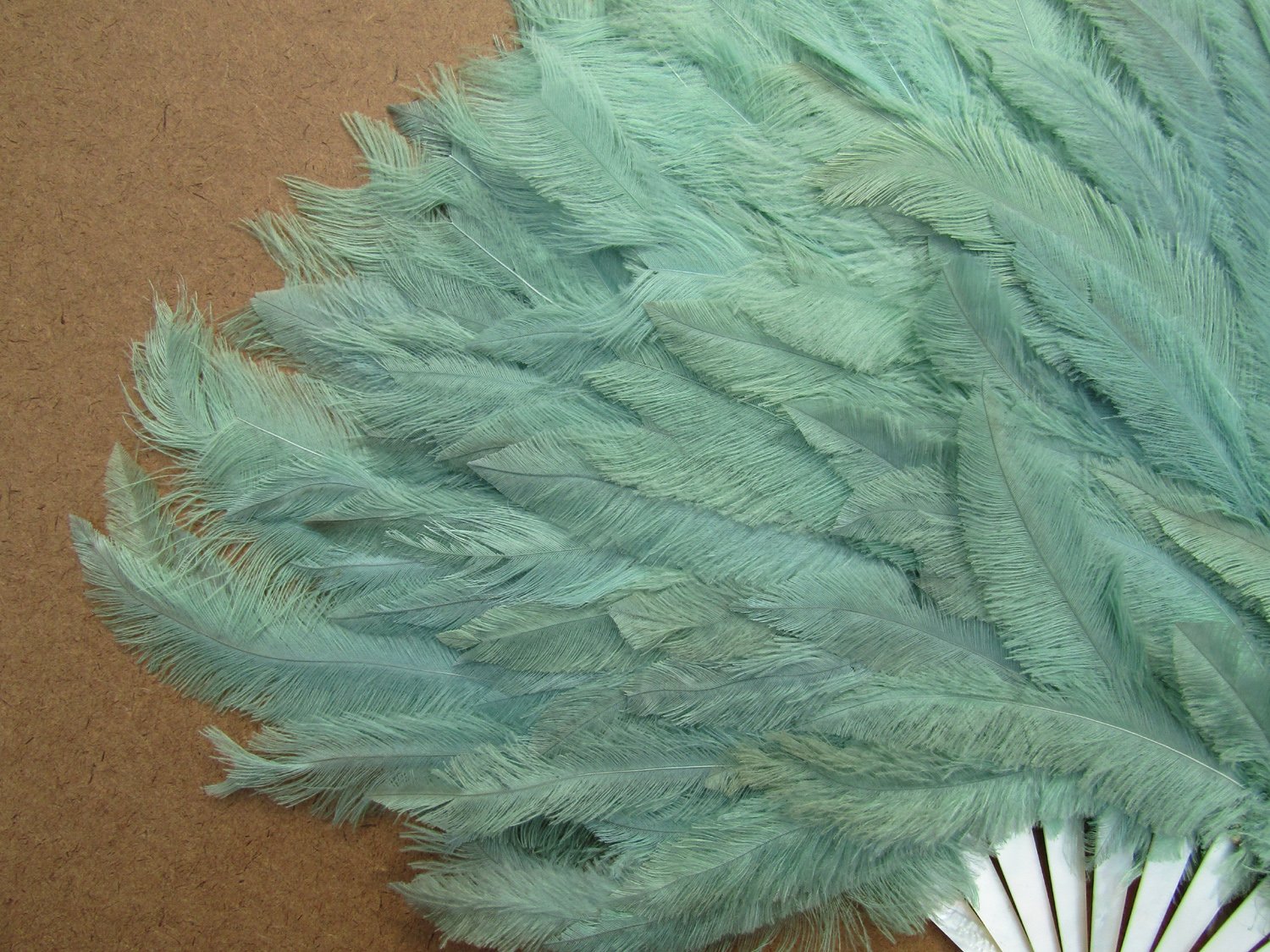 Rare-Art-Deco-Era-Nandu-Rhea-Flapper-Fan-04