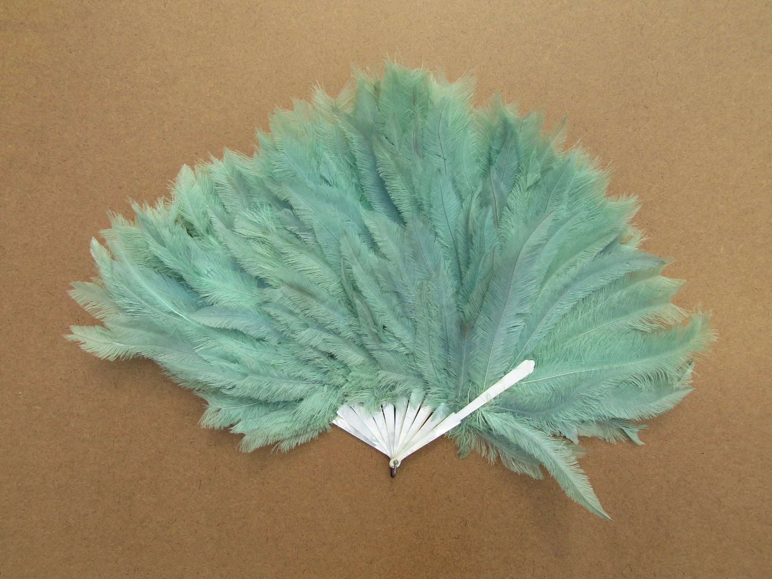Rare-Art-Deco-Era-Nandu-Rhea-Flapper-Fan-05