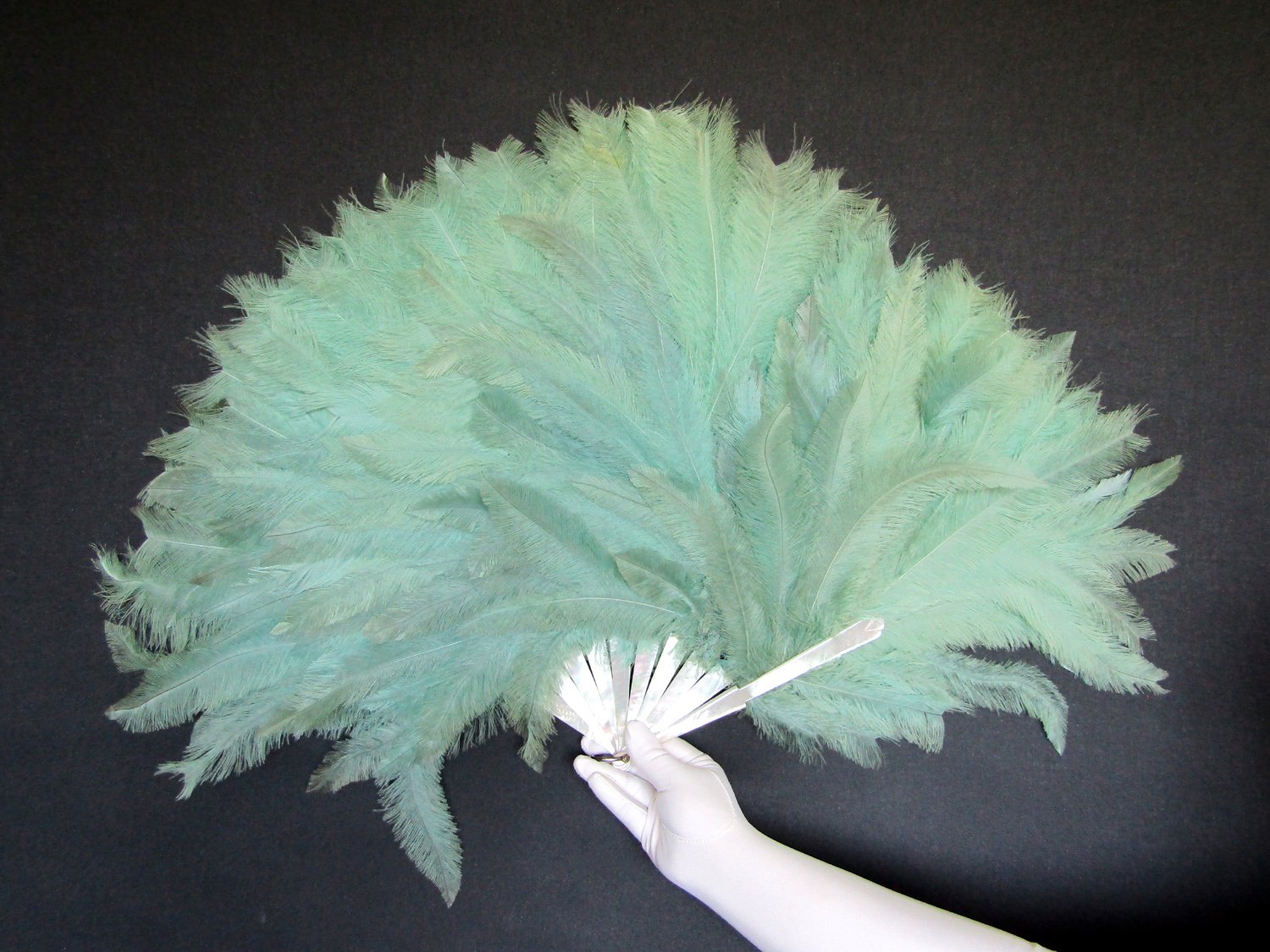 Rare-Art-Deco-Era-Nandu-Rhea-Flapper-Fan-07